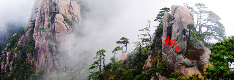 包裝設(shè)計(jì)